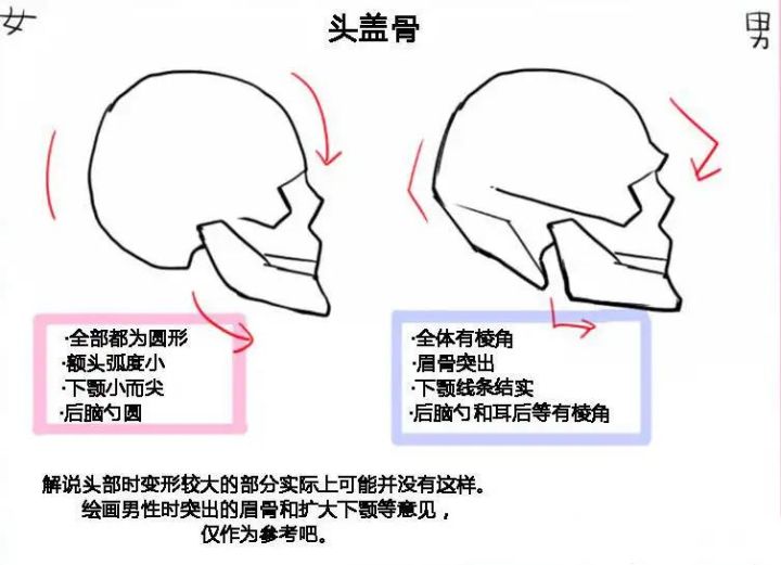 嘴巴尖面相_硬舌头尖嘴巴_尖嘴巴的面相分析