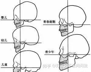 尖嘴巴的面相分析_嘴巴尖面相_硬舌头尖嘴巴