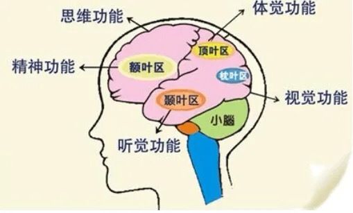 尖嘴巴的面相分析_嘴巴尖面相_硬舌头尖嘴巴