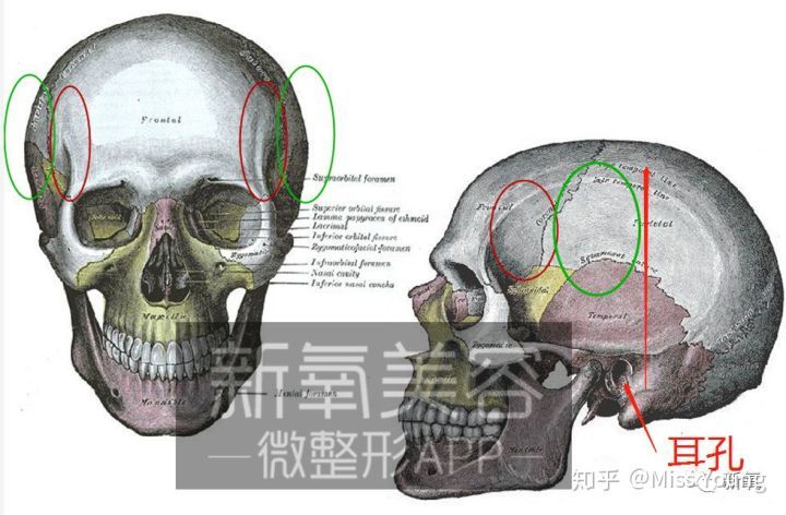 嘴巴尖面相_尖嘴巴的面相分析_硬舌头尖嘴巴