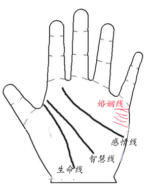 男人婚姻线图解怎么看男人手相爱情上会有波折