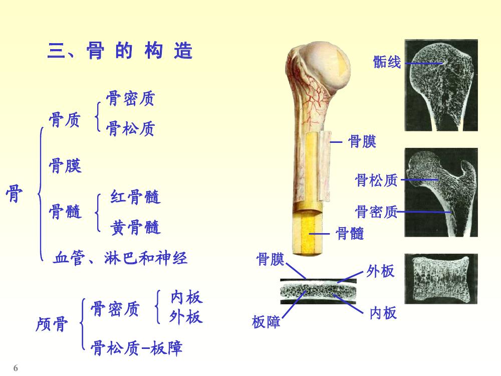 五种脸型,五种命,你是哪一种的形态