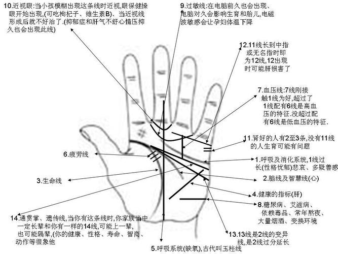 男生的手相,右手为先天,左手后天,而女生则反之.