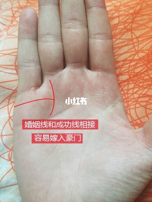 女人手相特点，若是遇到了一定要慎重的选择