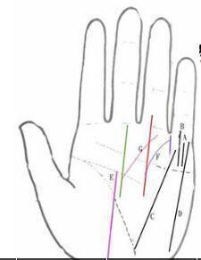 麻衣神婆手相财运线算命图解手相