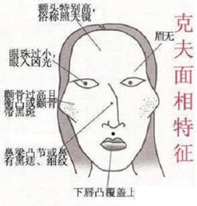 国字脸女人面相分析有这种脸型的人，永远都站在前