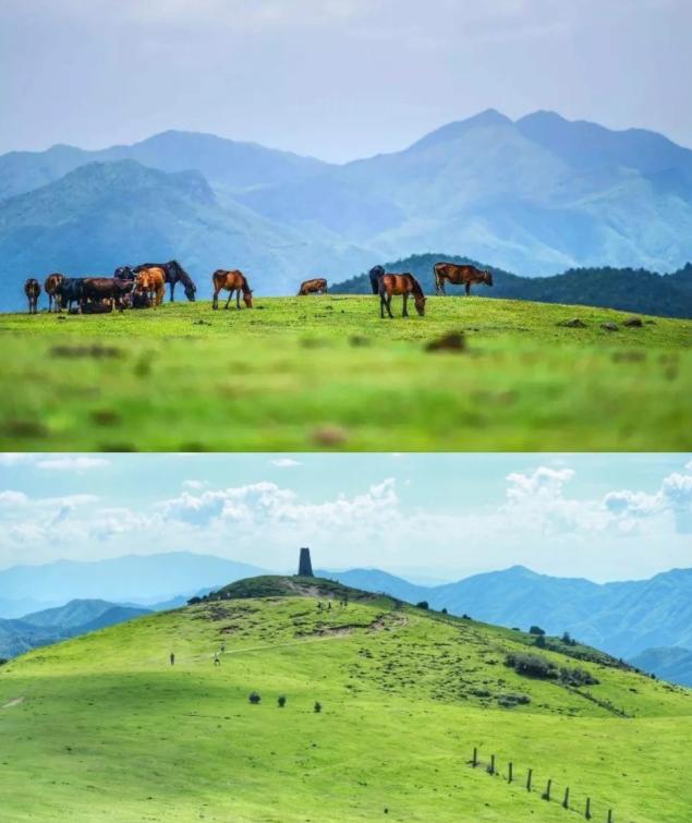 老虎牙的面相是怎么样的呢？双眼常打转或左右