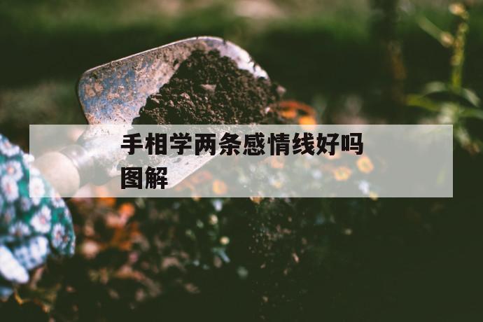 手相学两条感情线好吗图解