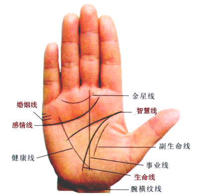 婚姻线分叉、平行、多条、十字等情况对婚姻质量的影响