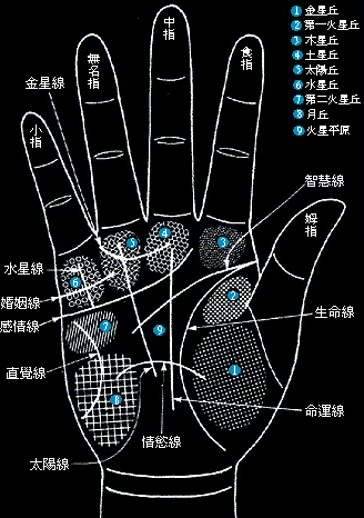 手相透露健康秘密：心脏病、胃病的手相特征你知道吗？