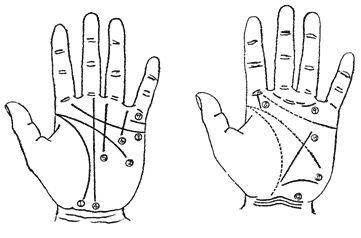 手相解析：生命线、智慧线、感情线、命运线、太阳线的奥秘