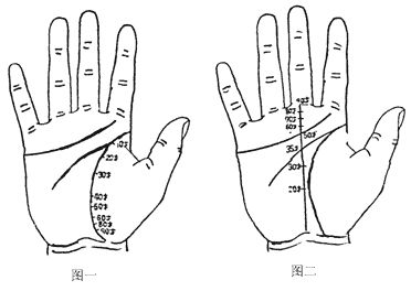 手相解析：生命线、智慧线、感情线、命运线、太阳线的奥秘