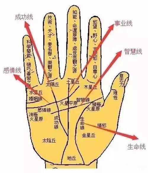 手相中的生命线：作用、吉凶及形状纹路全解析