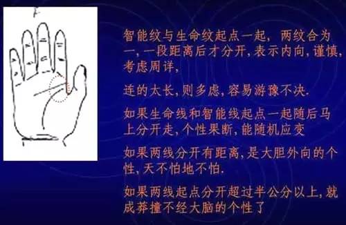 手相学探秘：智慧线背后的神秘与智慧