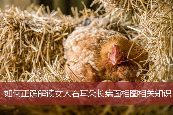 相学揭秘：耳朵小代表什么？了解耳朵面相的秘密