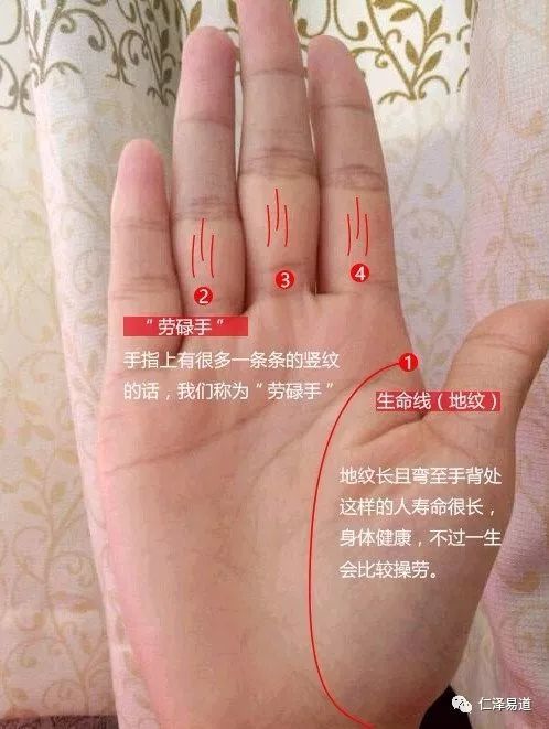 女人看相图解法：天生有福气的女人面相及手相特征分析