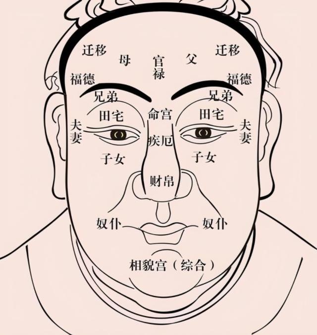 老祖宗识人术：头生九龙骨，早晚必显贵，九龙骨是什么意思？