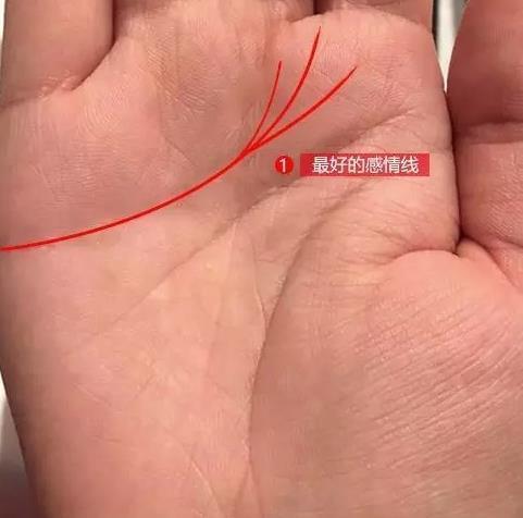 手相感情线长度的含义及对感情的影响，你知道吗？