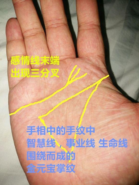 感情线延伸位置竟能看出女人性格和感情运势？快来看看