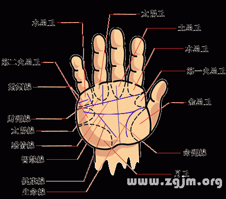 手相学：探索隐藏于手掌中的秘密与人生趋势