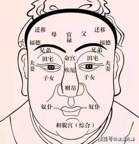 相学探秘：从统观五行到相占结合，解析面相、体相、骨相等奥秘
