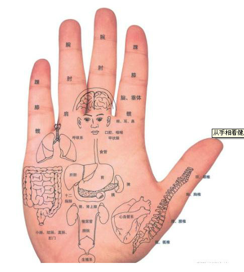 手相不仅能算命，还能反映健康！快来了解如何通过手相预知疾病